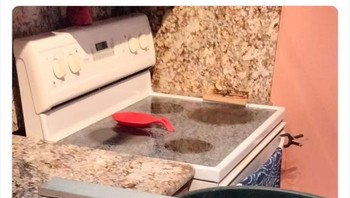 Cara mudah menangkap tikus di rumah. Foto: Boredpanda