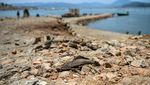 Waduk Jatigede Surut, Bekas Desa yang Tenggelam Kembali Muncul