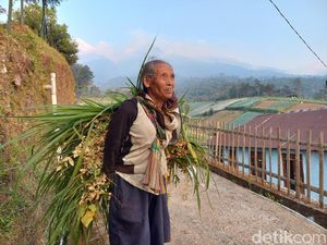 Kebakaran Lawu Merembet ke Karanganyar, Warga Jenawi Beraktivitas Normal