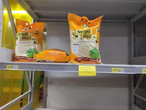 Terungkap! Alasan Beli Beras di Alfamart cs Dibatasi per 10 Kg/Hari