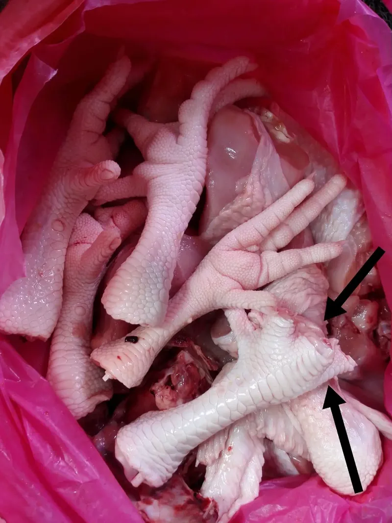 Wanita batal masak tomyam ceker ayam karena penjual ceker salah potong.
