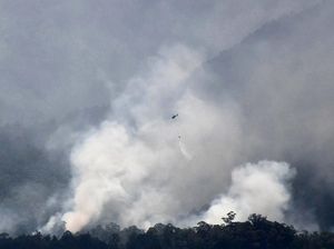 Gunung Lawu Tanggap Darurat Kebakaran