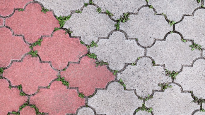 Jenis paving blok/via Klopmart