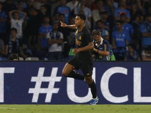 Inilah Akibatnya kalau Salah Menjaga Bellingham
