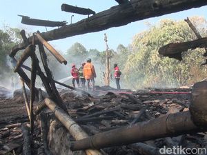 Panen Kebakaran di Subang, 82 Kejadian dalam Sebulan