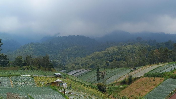Kondisi kebakaran Gunung Lawu dari Candi Cetho, Kecamatan Jenawi, Karanganyar, Rabu (4/10/2023)