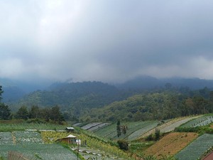 2 Pelari Tewas di Siksorogo Lawu Ultra Bukan Peserta Rute yang Ekstrem