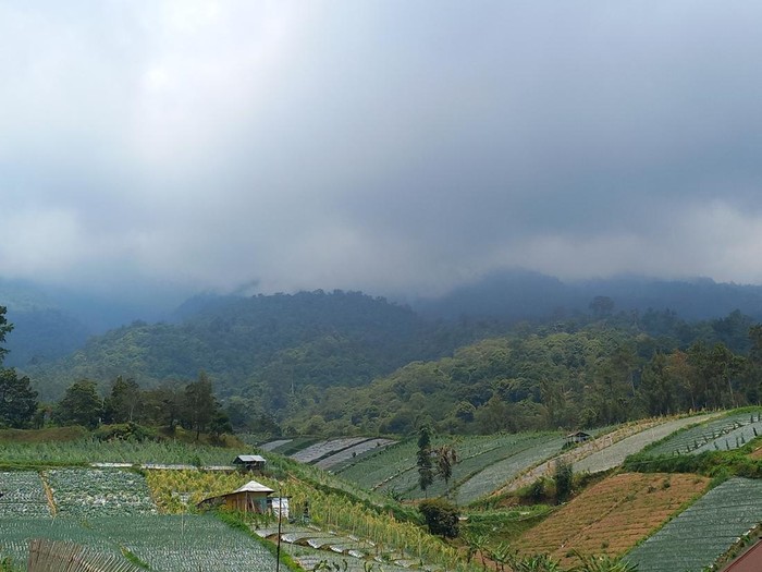 Kondisi kebakaran Gunung Lawu dari Candi Cetho, Kecamatan Jenawi, Karanganyar, Rabu (4/10/2023)