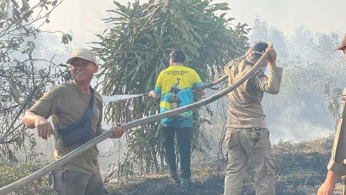 Kebakaran 50 hektare lahan di Bangka Tengah
