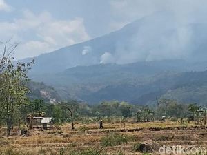 Sempat Diguyur Hujan, Kebakaran Hutan Gunung Lawu Tak Kunjung Padam