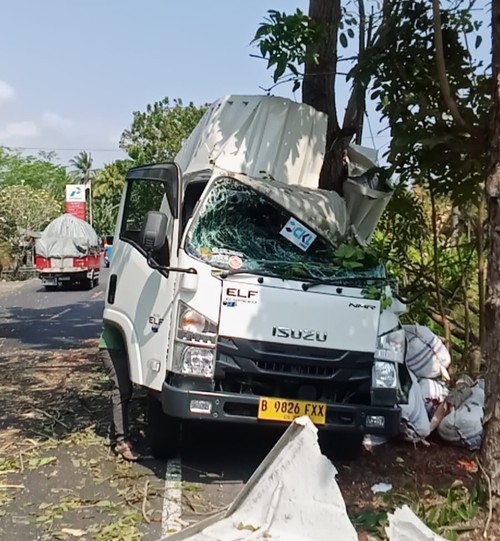 Kondisi truk boks yang ringsek setelah menabrak pohon perindang di Jalan Denpasar-Gilimanuk, tepatnya di Desa Pangyangan, Kecamatan Pekutatan, Rabu (4/10/2023). (IST)