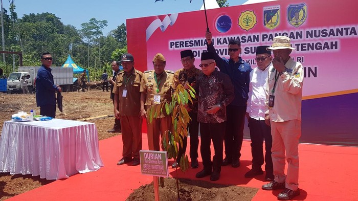 Maruf Amin di Donggala (Indra/detikcom)
