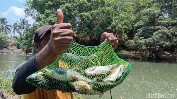 Masyarakat Cijulang ramai-ramai menangkap ikan di Sungai Citanduy saat musim kemarau.