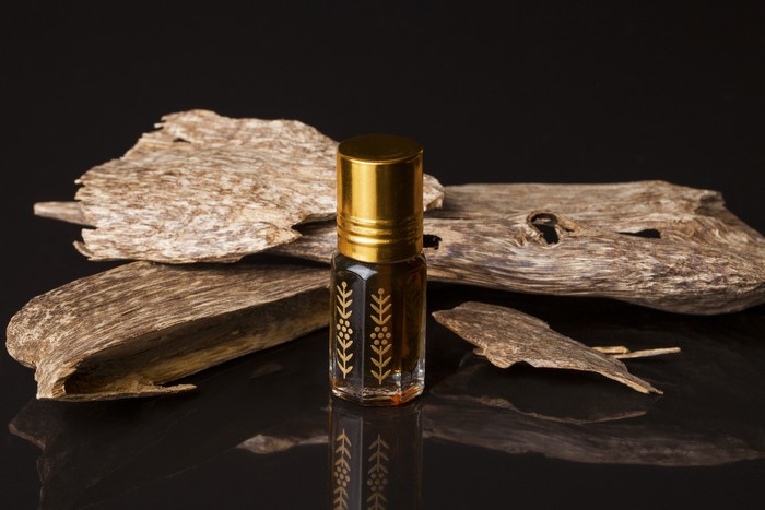 Agarwood, also called aloeswood, essential oil and incense chips