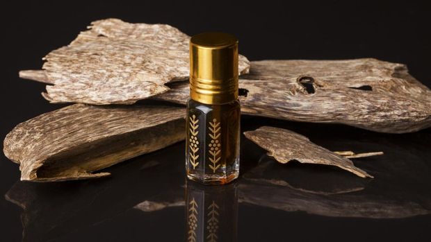 Agarwood, also called aloeswood, essential oil and incense chips