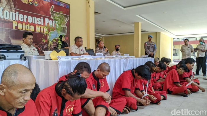 35 pengedar kurir hingga bandar narkotika jenis sabu, ganja dan musrhoom dibekuk polisi, Rabu (4/10/2023)