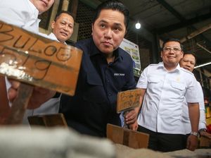 Erick Thohir Buka-bukaan Alasan Geser Buwas dari Bulog