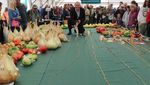 Wow! 10 Potret Buah dan Sayur Jumbo Hasil Panen Petani Inggris