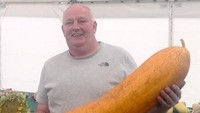 Vincent Sjodin berhasil menanam mentimun terberat di dunia. Mentimun kuning ini memiliki berat 13,388 kg. Wah pasti menggendongnya lama-lama terasa begitu berat ya? Foto: Guinness World Records