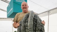 Foto ini memperlihatkan sayuran marrow terbesar di dunia yang juga dimiliki Sjodin. Beratnya mencapai 116,4 kg. Foto: Guinness World Records