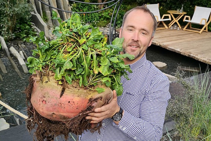 Wow! 10 Potret Buah dan Sayur Jumbo yang Berhasil Ditanam Petani Inggris Wow! 10 Potret Buah dan Sayur Jumbo yang Berhasil Ditanam Petani Inggris