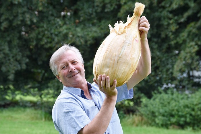 Wow! 10 Potret Buah dan Sayur Jumbo yang Berhasil Ditanam Petani Inggris Wow! 10 Potret Buah dan Sayur Jumbo yang Berhasil Ditanam Petani Inggris