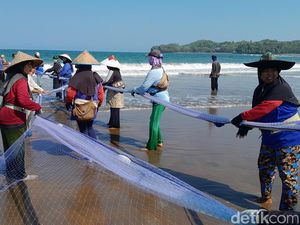 Rp 22,9 Miliar dari Ikan di Pangandaran