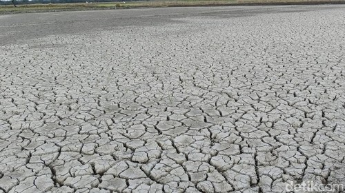 Dampak kekeringan di lahan pertanian milik warga Kabupaten Kupang, NTT.