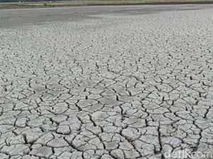 BPBD Sebut NTT Masih Siaga Darurat Kekeringan, Tak Terlalu Mengkhawatirkan