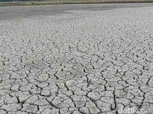 BPBD Sebut NTT Masih Siaga Darurat Kekeringan, Tak Terlalu Mengkhawatirkan