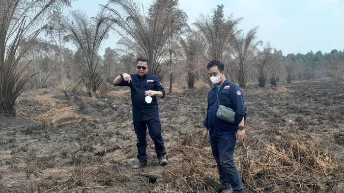 Direktur Jenderal Gakkum LHK Rasio Ridho Sani
