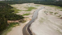 Pemandangan dari udara menunjukkan perahu sedang mengarungi sungai Solimoes yang terkena dampak kekeringan, selama penerbangan pemantauan Institut Konservasi Keanekaragaman Hayati Chico Mendes (ICMBio), dekat Alvaraes, negara bagian Amazonas, Brasil, Rabu (4/10/2023).  