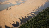 Dari 62 kotamadya di negara bagian Amazonas, 16 kota dinyatakan dalam keadaan darurat akibat kekeringan di sungai-sungai di seluruh wilayah tersebut dan 39 kota lainnya dalam keadaan siaga menurut Pertahanan Sipil Amazonas.  