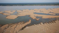Sungai Solimoes yang sangat besar saat ini sangat kering sehingga orang dapat berjalan di sepanjang sungai tersebut.  