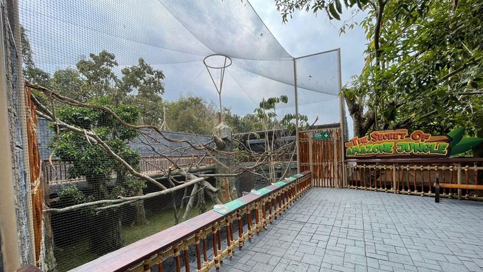 Jatim Park Grup Hadirkan Exhibit Bertema South American di Batu Secret Zoo