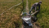 Menurut petani, beban biaya untuk mengairi sawahnya meningkat saat musim kemarau. Mereka harus harus mengeluarkan sedikitnya Rp 2 juta untuk biaya bahan bakar mesin pompa air. 