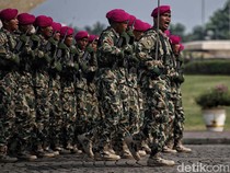 Ini Perbedaan Tamtama, Bintara, dan Perwira dalam Kepangkatan TNI