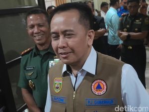 Sumsel Dituding Kirim Asap ke Provinsi Lain, Pj Gubernur Bilang Begini