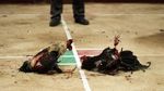 Polemik Sabung Ayam di Meksiko, Dianggap Tradisi Leluhur