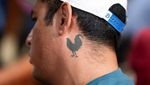 Polemik Sabung Ayam di Meksiko, Dianggap Tradisi Leluhur