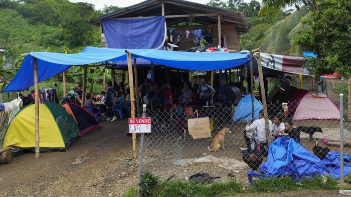 Ribuan Migran Lintasi Rawa Menuju Panama, Banyak Anak Kecil Migrants, most from Venezuela, wade across the Tuquesa river after trekking through the Darien Gap, in Bajo Chiquito, Panama, Wednesday, Oct. 4, 2023. (AP Photo/Arnulfo Franco)