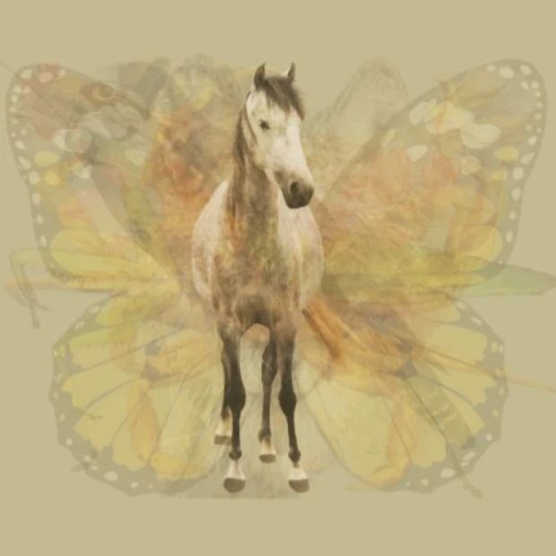 Tes Gambar Kuda - Tes Gambar.