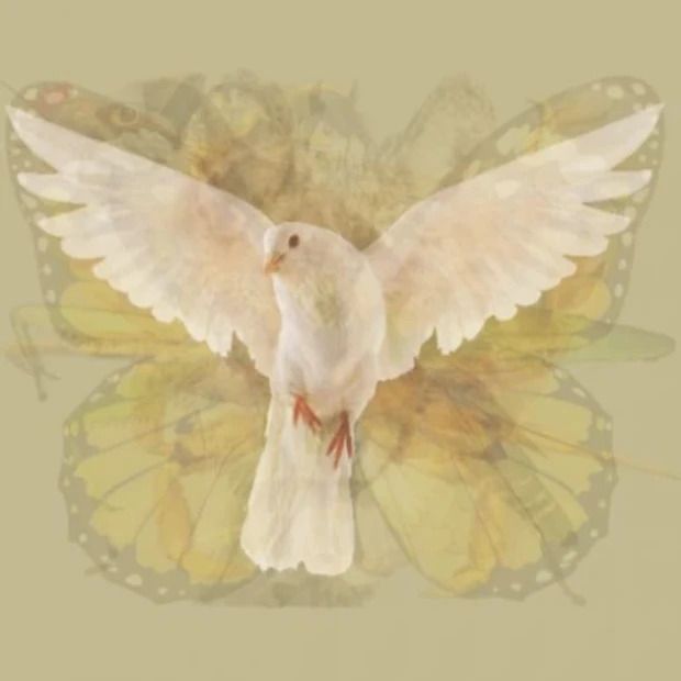 Tes Gambar Merpati - Tes Gambar.