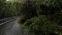 Beberapa pohon tumbang dan memutus akses jalan. Salah satunya di kawasan Dawu.
