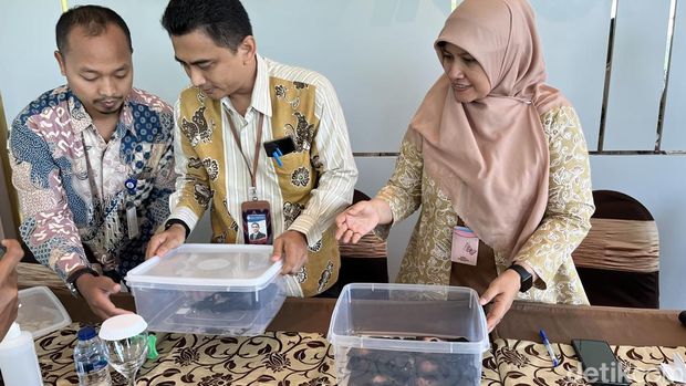 Wujud uang milik Soud binti Abdul Kodir Al Jufri yang dilalap si jago merah di Kampung Joyosudiran, Kamis (5/10/2023).