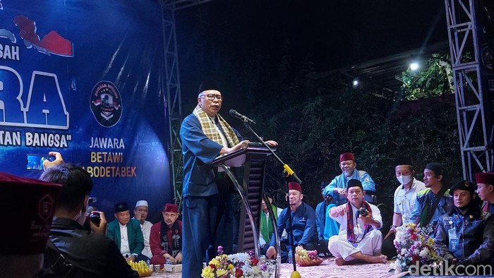 Waketum NasDem Ahmad Ali (Rumondang/detikcom)