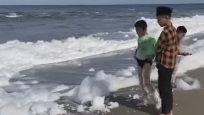Busa putih memehuni pantai di Gunung Sitoli, Nias. (Istimewa)