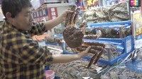 Agendanya di Korea Selatan juga termasuk mengunjungi pasar seafood segar. Mereka beli kepiting sampai kerang di sana. Foto: YouTube Qiss You TV, Instagram, dan TikTok Ayu Ting Ting
