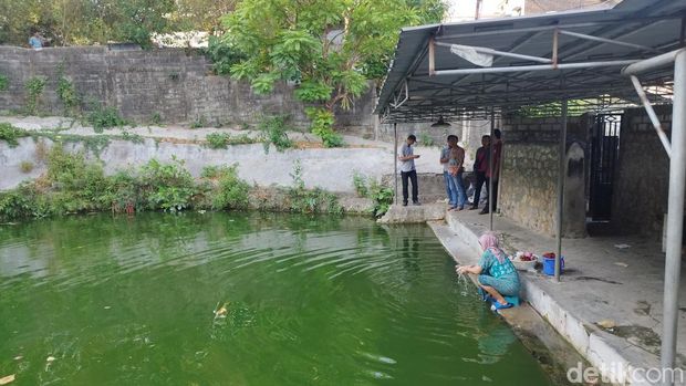 Jublang Gajah Giri Gresik
