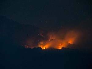 Kebakaran Gunung Lawu Nyaris sampai ke Puncak Hargo Dalem